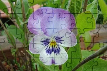 0K jigsaw puzzle