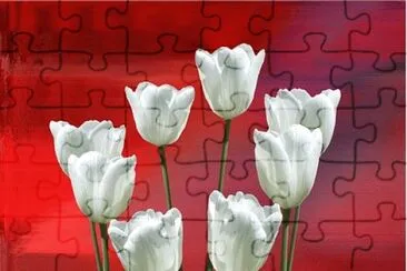 0K jigsaw puzzle