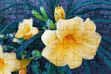 0K jigsaw puzzle