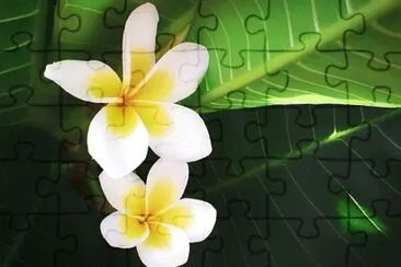 0K jigsaw puzzle