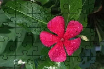 0K jigsaw puzzle