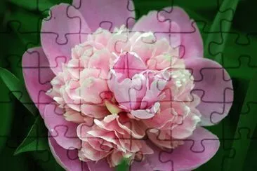 0K jigsaw puzzle
