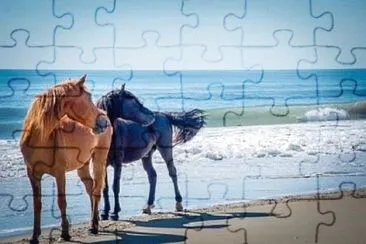 Foto jigsaw puzzle