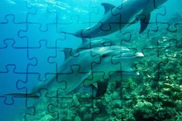 Foto jigsaw puzzle