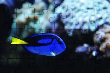 Foto jigsaw puzzle