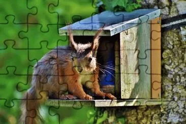 Foto jigsaw puzzle