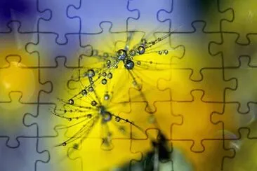 Foto jigsaw puzzle