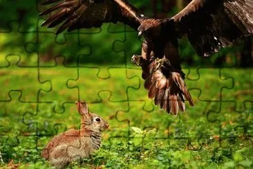 Foto jigsaw puzzle