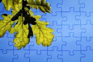 Foto jigsaw puzzle