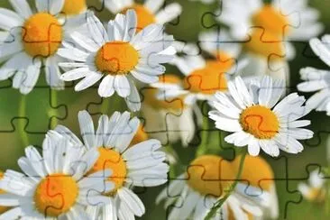 OK jigsaw puzzle