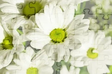 OK jigsaw puzzle