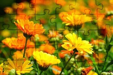 OK jigsaw puzzle