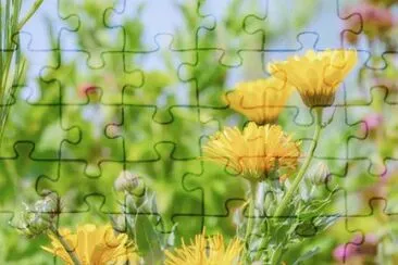 OK jigsaw puzzle