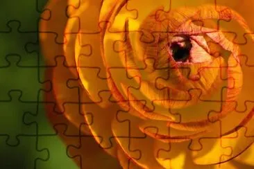 OK jigsaw puzzle