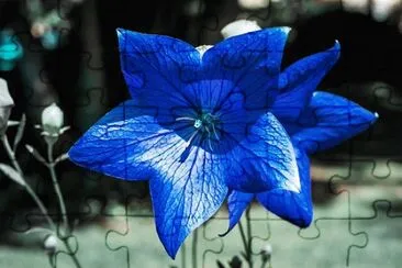 OK jigsaw puzzle
