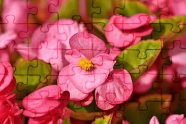 OK jigsaw puzzle