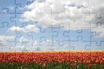 Foto jigsaw puzzle