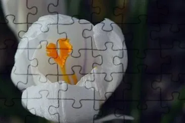 OK jigsaw puzzle
