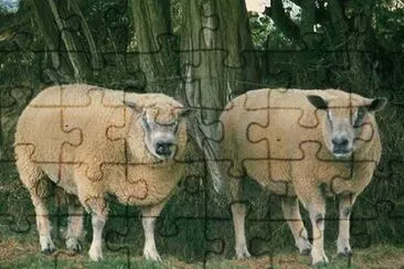 Avranchin jigsaw puzzle