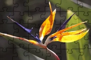 OK jigsaw puzzle