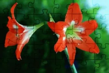 OK jigsaw puzzle
