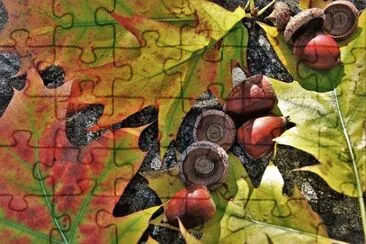 Foto jigsaw puzzle