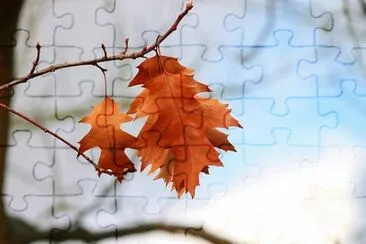 Foto jigsaw puzzle