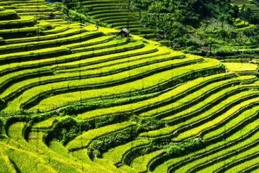 Foto jigsaw puzzle