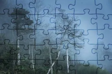 Foto jigsaw puzzle