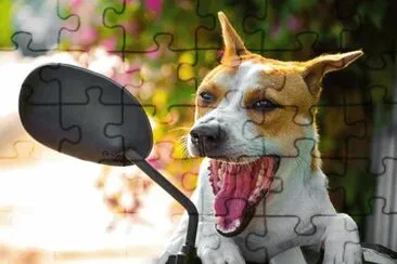 Foto jigsaw puzzle