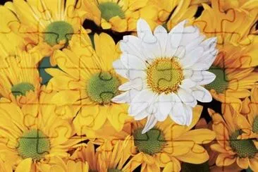 OK jigsaw puzzle