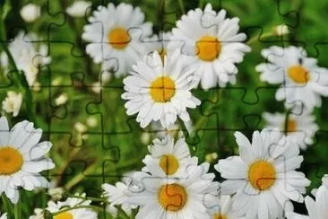 OK jigsaw puzzle