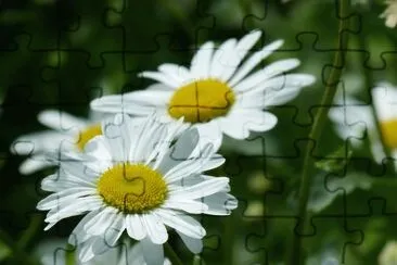 OK jigsaw puzzle
