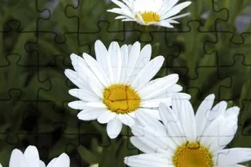 OK jigsaw puzzle