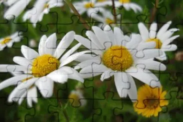 OK jigsaw puzzle