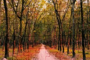 Foto jigsaw puzzle