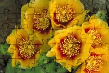 OK jigsaw puzzle
