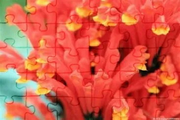 OK jigsaw puzzle