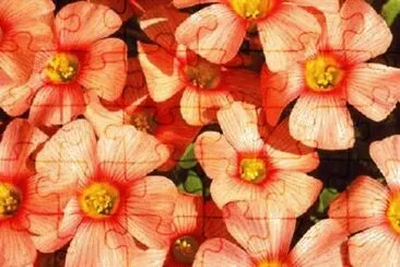 OK jigsaw puzzle