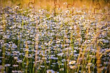 OK jigsaw puzzle