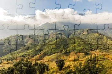 Foto jigsaw puzzle