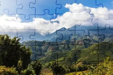 Foto jigsaw puzzle