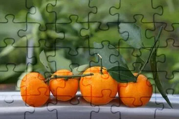  jigsaw puzzle