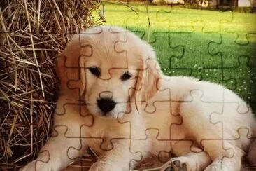 imagem jigsaw puzzle