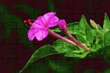 OK jigsaw puzzle
