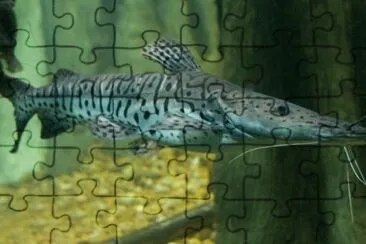 Foto jigsaw puzzle