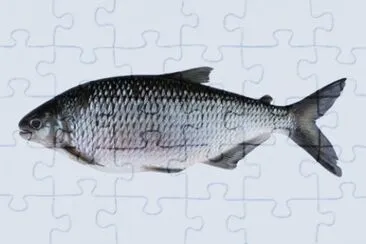 OK jigsaw puzzle