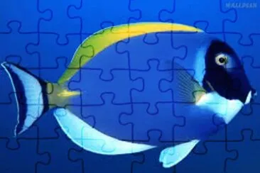 Foto jigsaw puzzle
