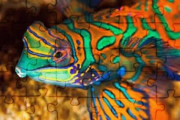 Foto jigsaw puzzle
