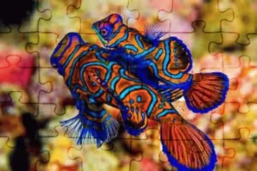 Foto jigsaw puzzle